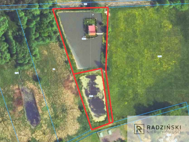 Działki ze stawem przy lesie | 5936 m²