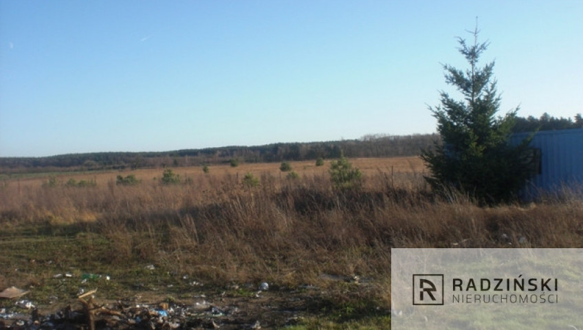 Działka Sprzedaż Pniów