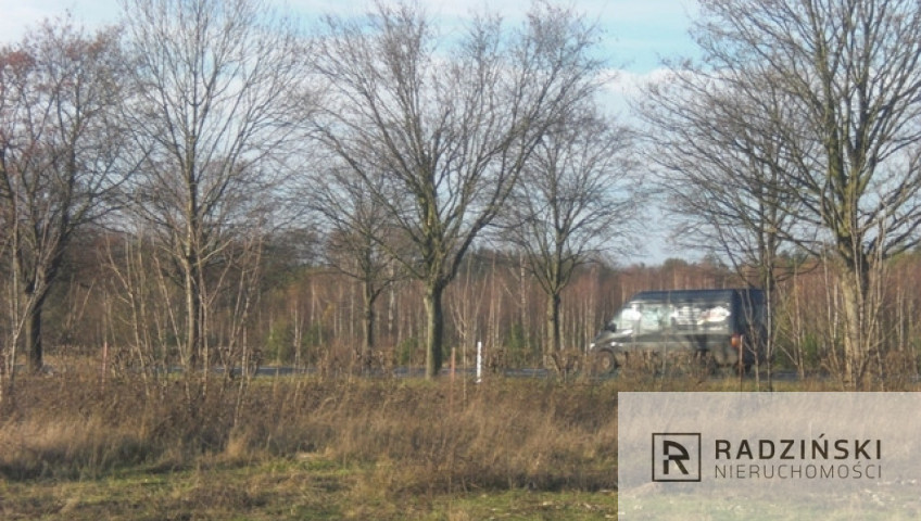 Działka Sprzedaż Pniów