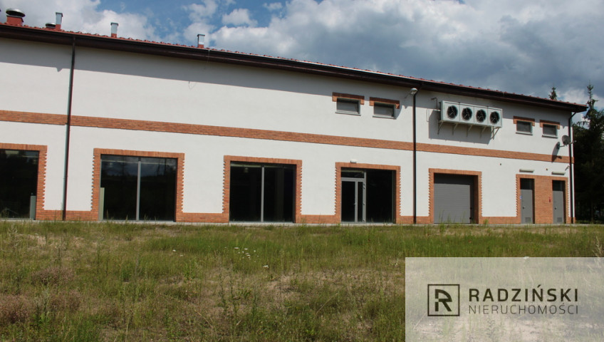 Lokal Wynajem Pszczew