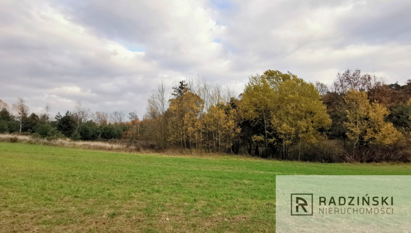 Działka Sprzedaż Mironice