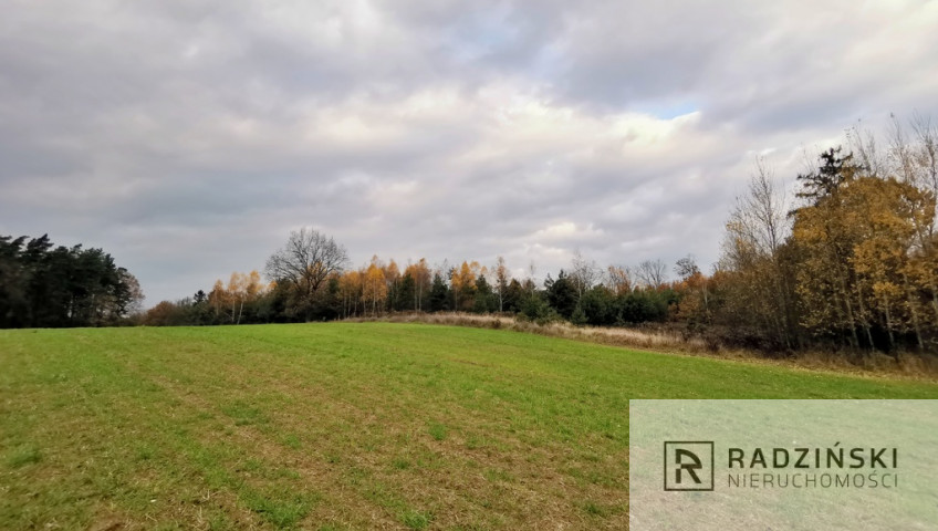 Działka Sprzedaż Mironice