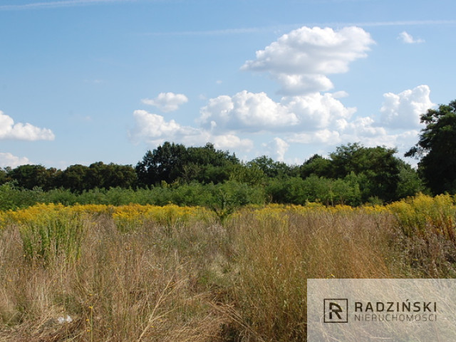 Działka Sprzedaż Wawrów