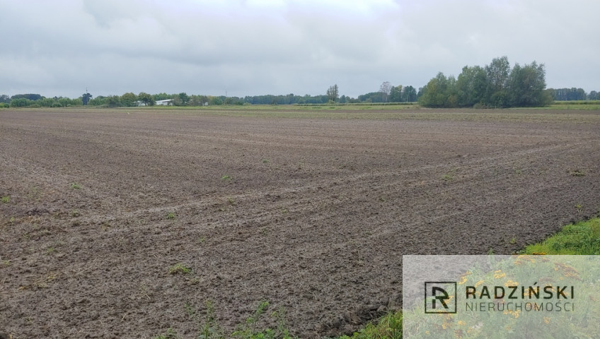 Działka Sprzedaż Gorzów Wielkopolski Zieleniec