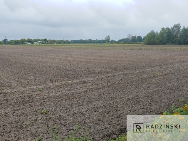 Działka Sprzedaż Gorzów Wielkopolski Zieleniec