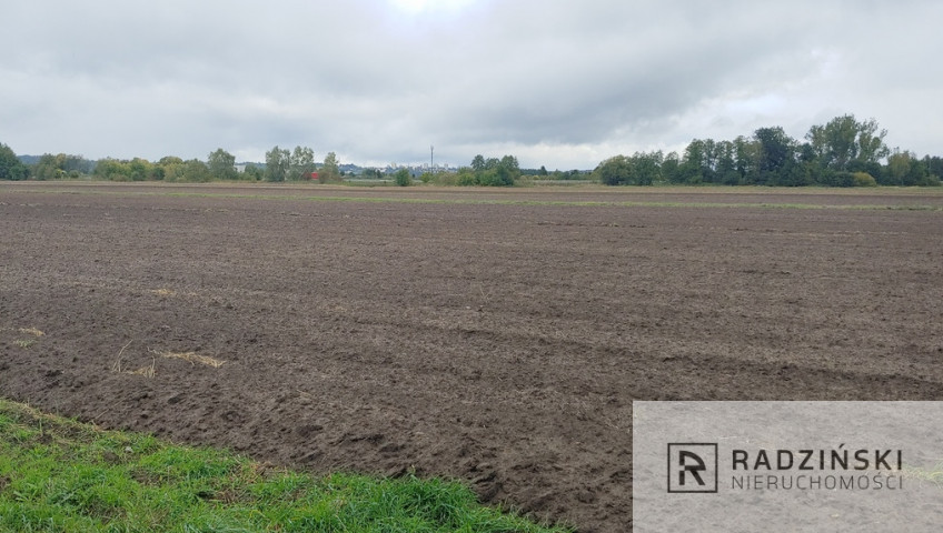 Działka Sprzedaż Gorzów Wielkopolski Zieleniec