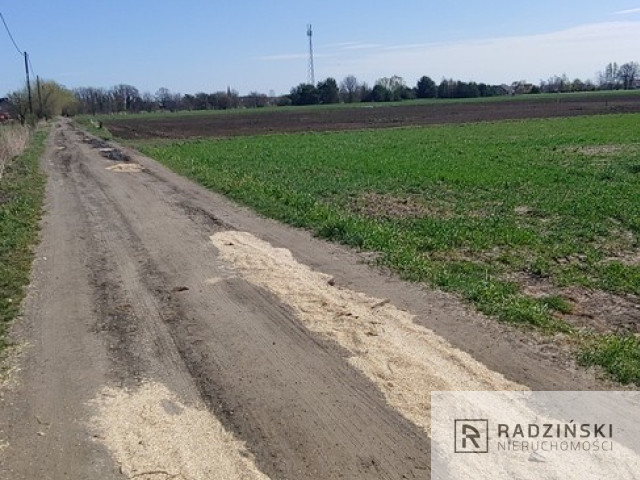 Działka Sprzedaż Gorzów Wielkopolski Zakanale